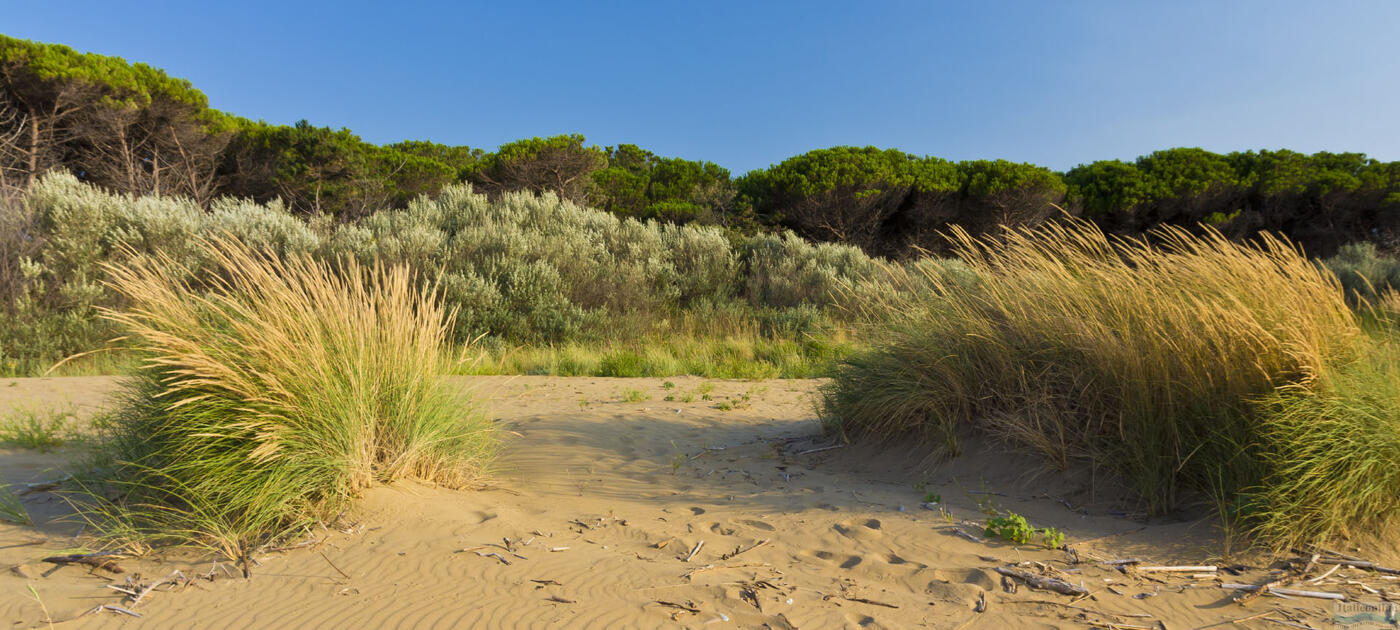 Bibione