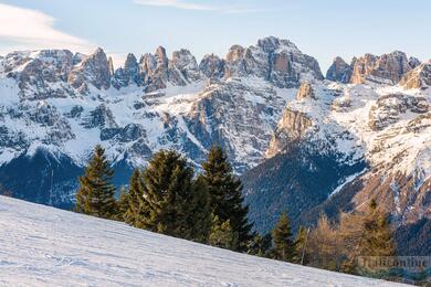 Friuli - Venezia Giulia