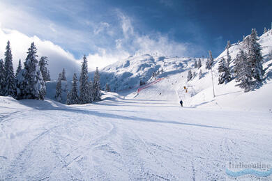 Campitello di Fassa