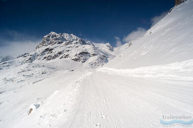 Alta Valtellina