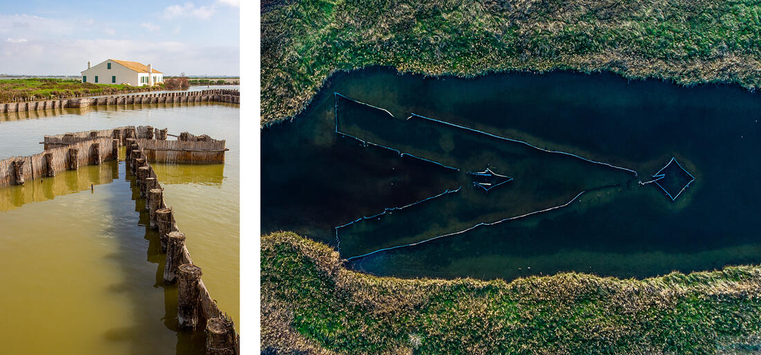 Comacchio - angolnacsapdák