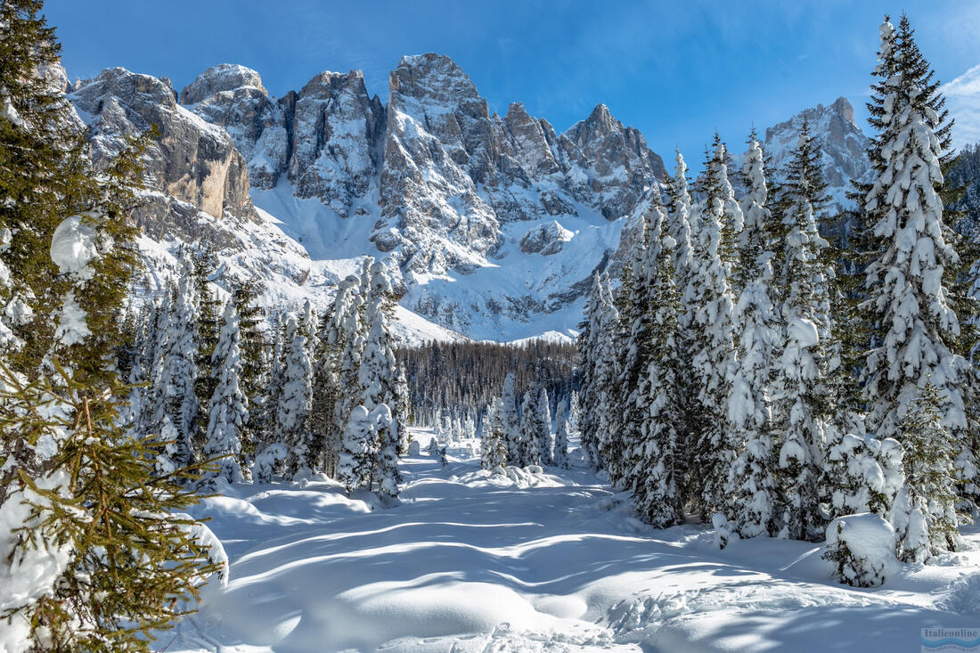 Paneveggio-Pale di San Martino