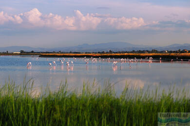 Cervia: só, nap és hagyomány