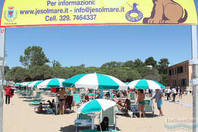 Bau Bau Beach Jesolo - kutyastrand