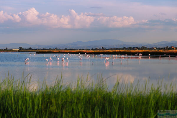 Cervia: só, nap és hagyomány